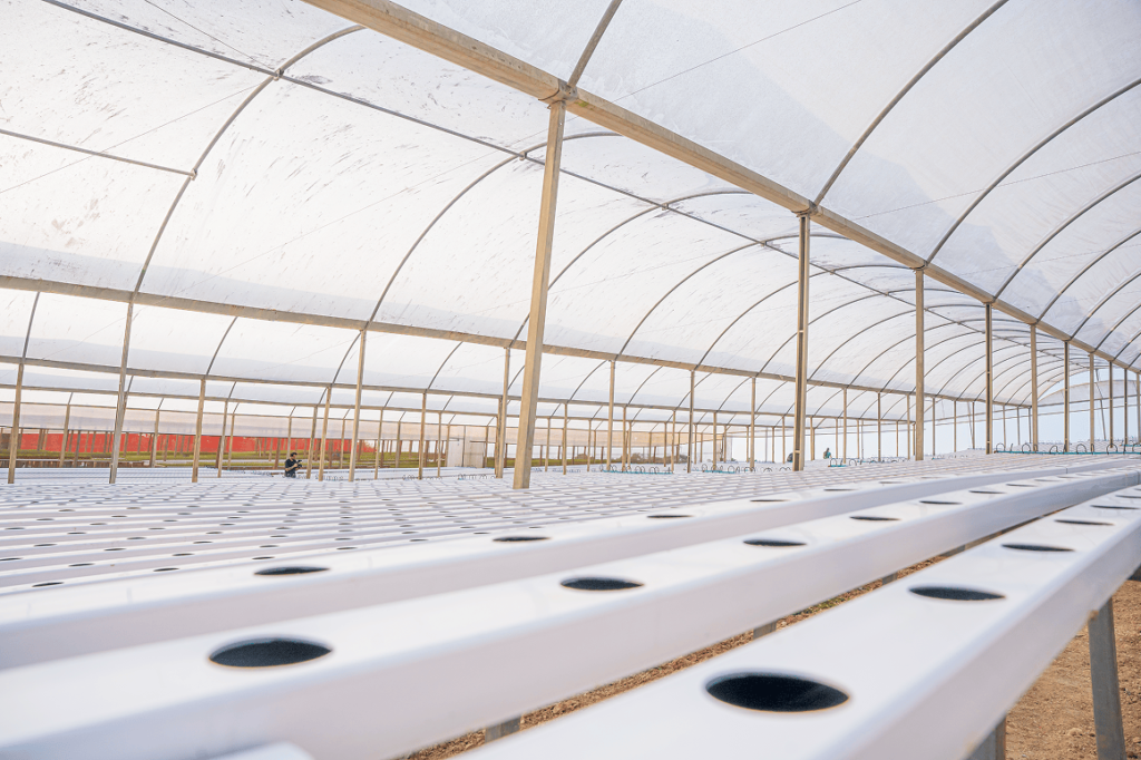 Estufa agrícola para hidroponia com bancadas NFT vazias e estrutura ampla preparada para cultivo de hortaliças