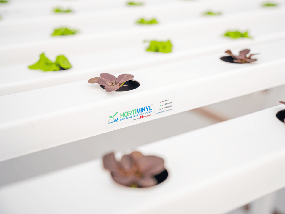 Sistema hidropônico NFT com perfis Hortivinyl exibindo mudas de alface em crescimento nas bancadas