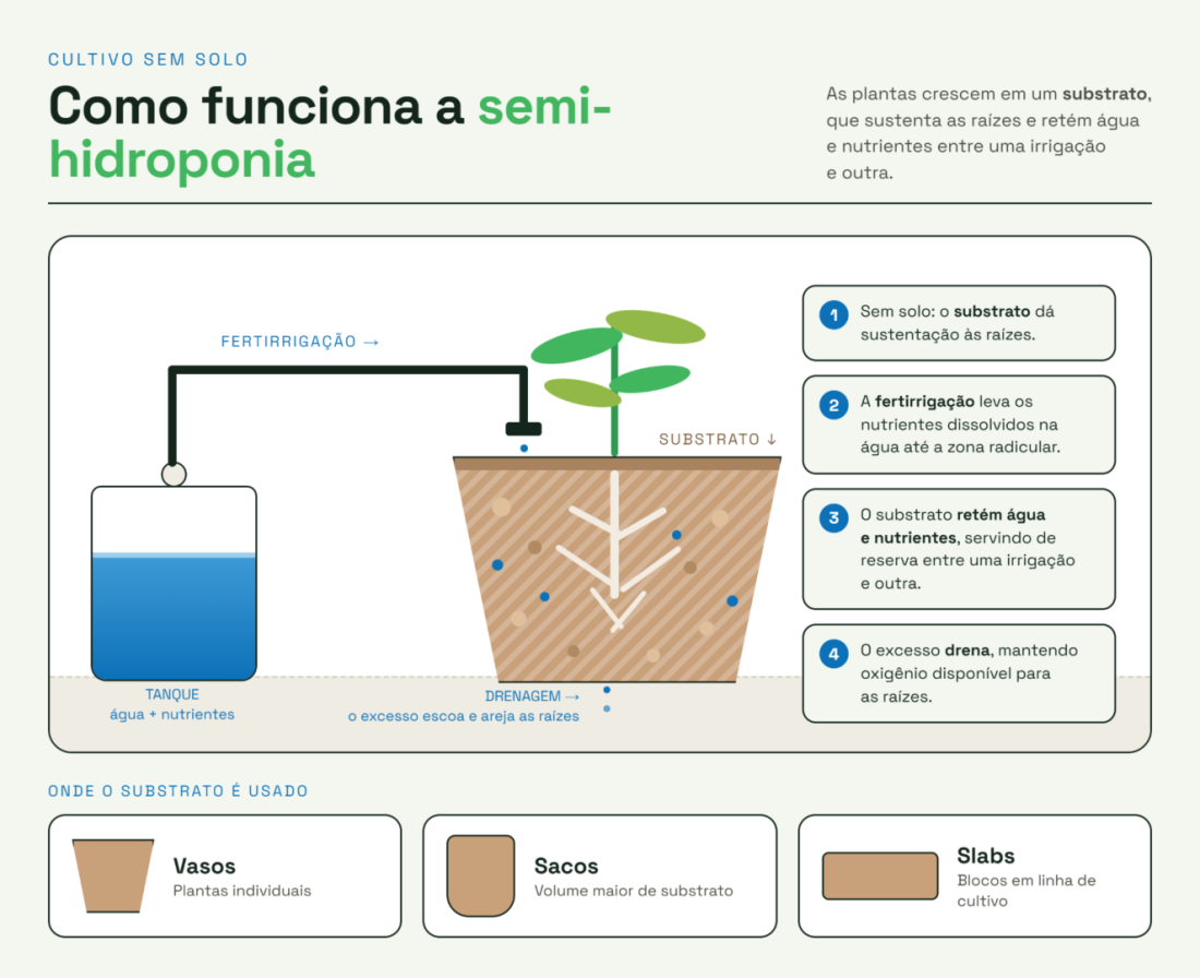 Infográfico explicando como funciona a semi-hidroponia: a planta cresce sem solo, com as raízes sustentadas por um substrato. Um sistema de fertirrigação conduz água e nutrientes do tanque até a zona radicular. O substrato retém parte da água e dos nutrientes entre as irrigações, enquanto o excesso é drenado, mantendo a oxigenação das raízes. O cultivo pode ser realizado em vasos, sacos ou slabs.